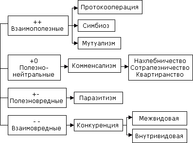 Рис. 109 Основные типы биотических межвидовых взаимоотношений