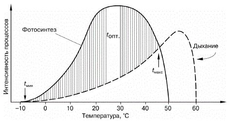  . 31          ( . , 1978): t, t, t  ,       ( )