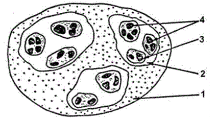  . 83     ( .. , 1963):
1   , ; 2  ; 3  ; 4  