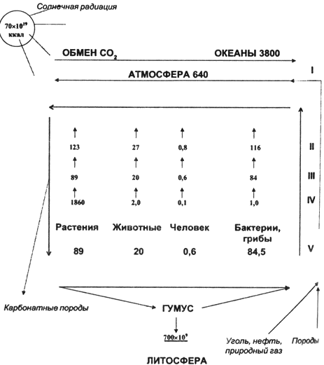 5. Глобальные экологические проблемы