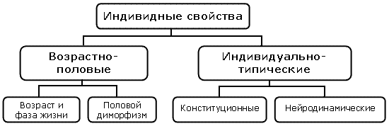 Контрольная работа по теме Особенности проявления свойств темперамента на разных возрастных этапах