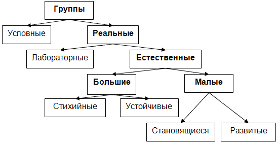 Контрольная работа по теме Социально-психологические механизмы функционирования большой социальной группы